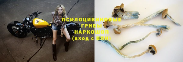 ПСИЛОЦИБИНОВЫЕ ГРИБЫ Зеленодольск