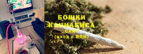 ПСИЛОЦИБИНОВЫЕ ГРИБЫ Зеленодольск