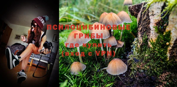 ПСИЛОЦИБИНОВЫЕ ГРИБЫ Зеленодольск